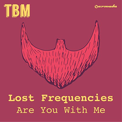 Descargar Are you with me - Lost Frequencies