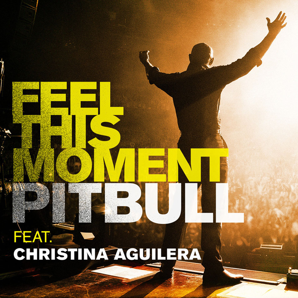 Descargar Pitbull – Feel this moment
